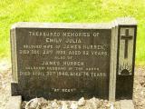 image of grave number 50254